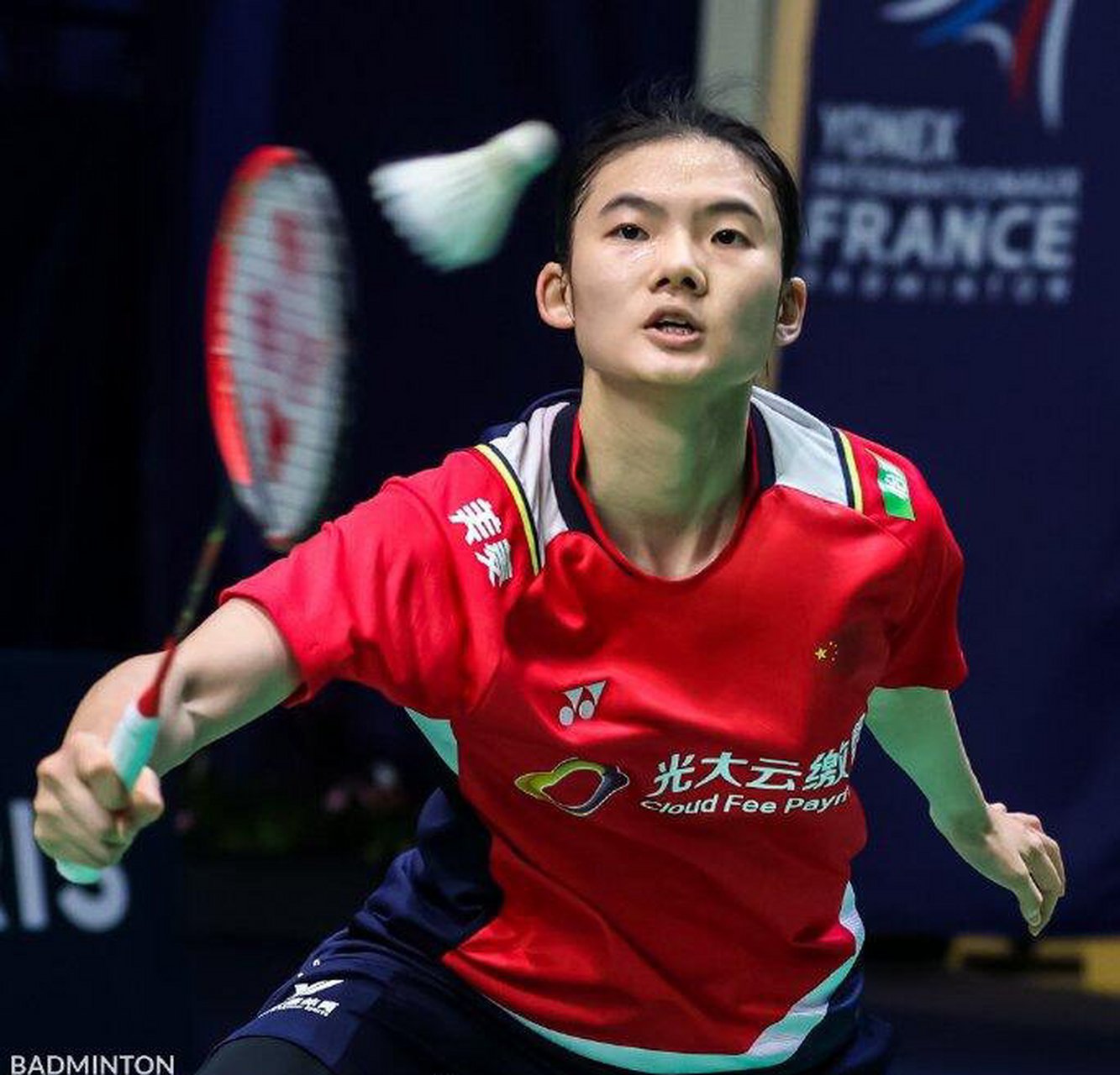 冰壶爱好者 冰壶爱好者