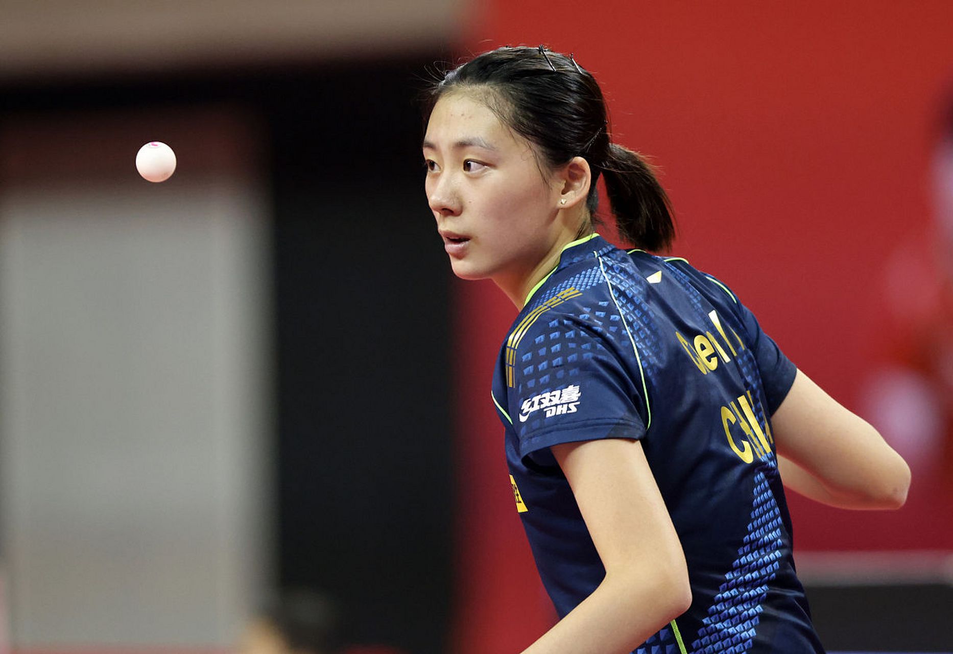 交流也备受 交流也备受