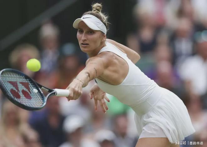 多领域都面 多领域都面